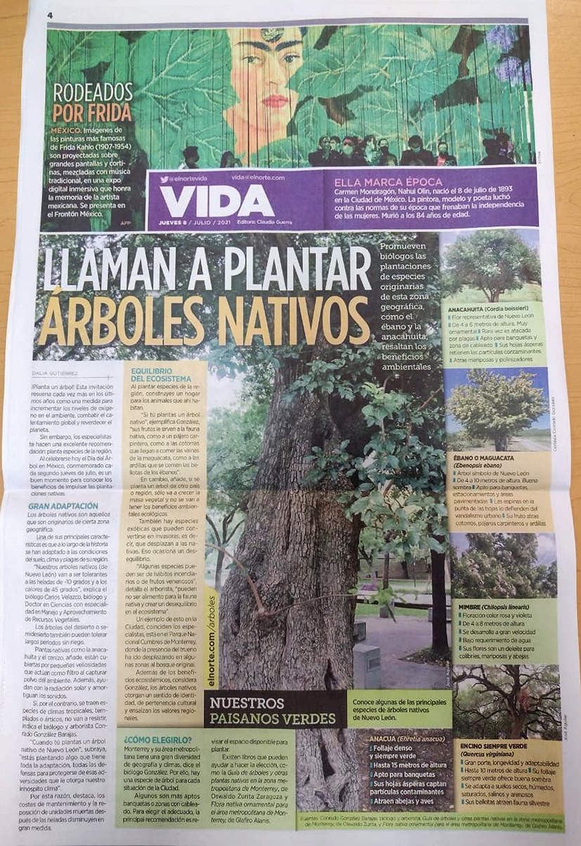 Planta un árbol nativo! - Fondo Editorial de Nuevo León