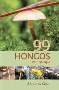 99 hongos en Chipinque